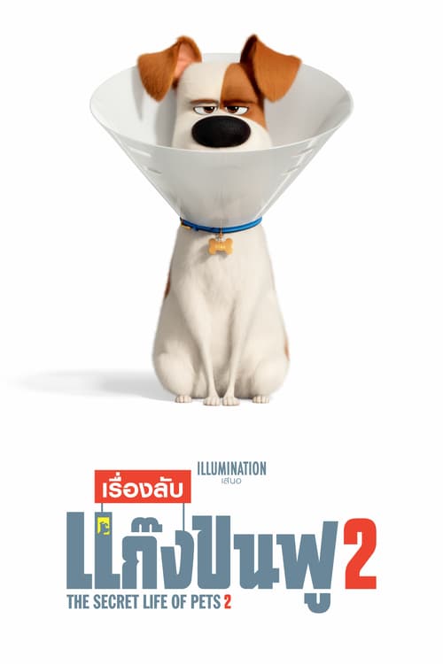 Secret Life of Pets 2 (2019) เรื่องลับแก๊งขนฟู 2
