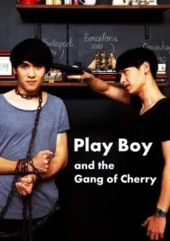 PlayBoy (and the Gang of Cherry) (2017) เพลย์บอย แอนด์เดอะแก๊งออฟเชอร์รี่