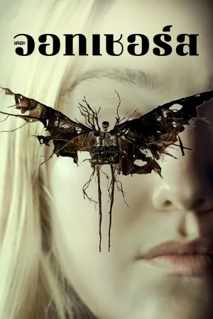 The Watchers (2024) เดอะวอทเชอร์ส