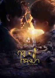 Lost in the Woods (2025) ฤดูหลงป่า EP.1-7 (ยังไม่จบ)