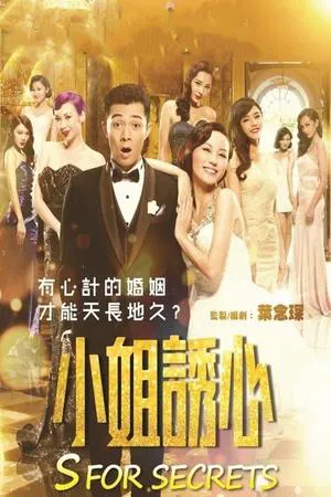 S for Sex S for Secrets (2014)