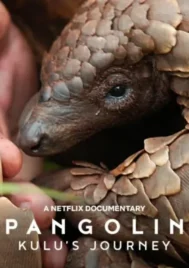 Pangolin Kulu s Journey (2025) การเดินทางของคูลู