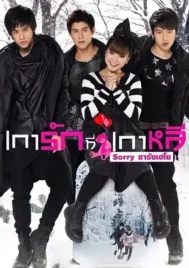 Sorry Saranghaeyo (2010) เการัก ที่เกาหลี Sorry ซารังเฮโย