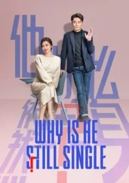 Why Is He Still Single (2025) ปริศนาหนุ่มโสด EP.1-16 (จบ)