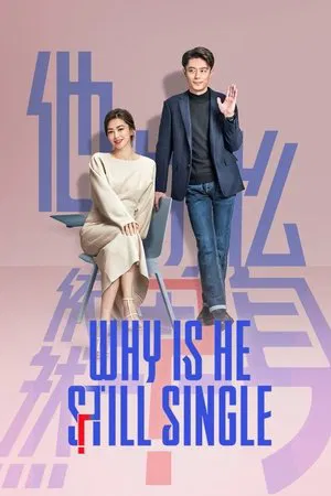 Why Is He Still Single (2025) ปริศนาหนุ่มโสด EP.1-16 (จบ)